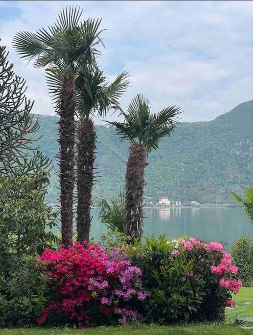 Appartamento Con Piscina E Sauna Bissone Esterno foto